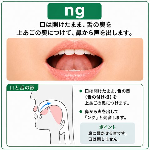 ng の発音の図。口は開けたまま、舌の奥（舌の付け根）を上あごの奥につけ、鼻から声を出して「ング」と発音します。鼻に響かせる音で、口は閉じません。口もとの写真と、口の中の断面図がのっています。