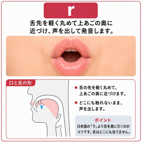 r の発音の図。舌の先を軽く丸めて上あごの奥に近づけ、どこにも触れないまま声を出します。日本語の「ラ」より舌を奥に引くのがコツで、舌はどこにも当てません。口もとの写真と、口の中の断面図がのっています。