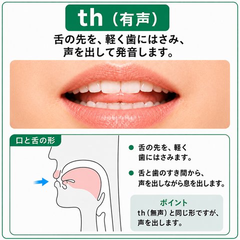 th（有声）の発音の図。舌の先を上下の歯で軽くはさみ、舌と歯のすき間から、声を出しながら息を出します。th（無声）と同じ口の形で、声を出すところだけが違います。口もとの写真と、口の中の断面図がのっています。