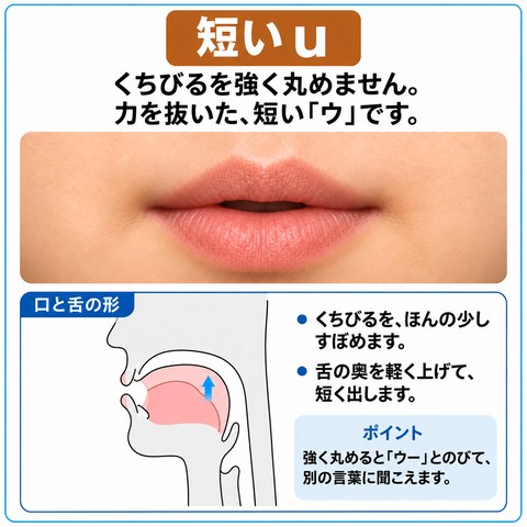 短い u の発音の図。くちびるを軽くすぼめるだけで、強く丸めません。日本語の「ウ」より力を抜いて、短く出します。口もとの写真と、口の中の断面図がのっています。